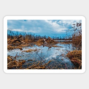 Cloudy Marsh, Landscape Photograph Sticker